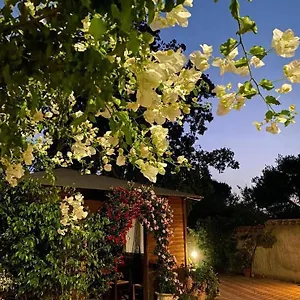 Il Girasole Couette-café SantʼAnna Arresi